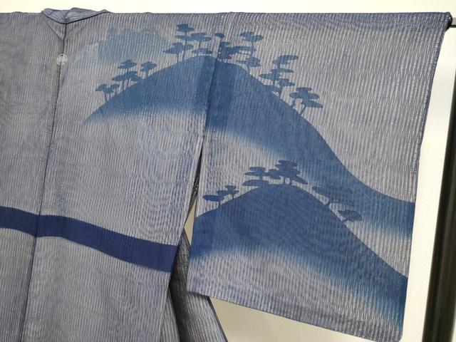 平和屋着物▽訪問着　無双　紗袷　紋紗×紗　風景松文　正絹　逸品　DABI4120du