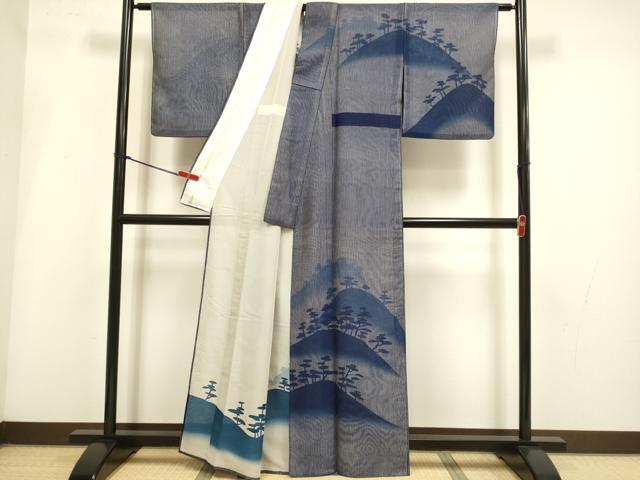 平和屋着物▽訪問着　無双　紗袷　紋紗×紗　風景松文　正絹　逸品　DABI4120du
