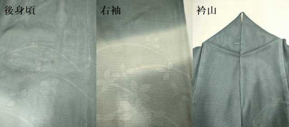 平和屋着物▽訪問着　無双　紗袷　紗×絽　草葉文　正絹　逸品　DABI4121du