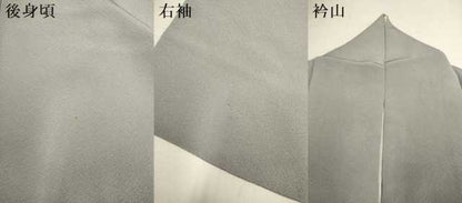平和屋着物●上質な色無地　銀鼠色　正絹　逸品　DABI4319du