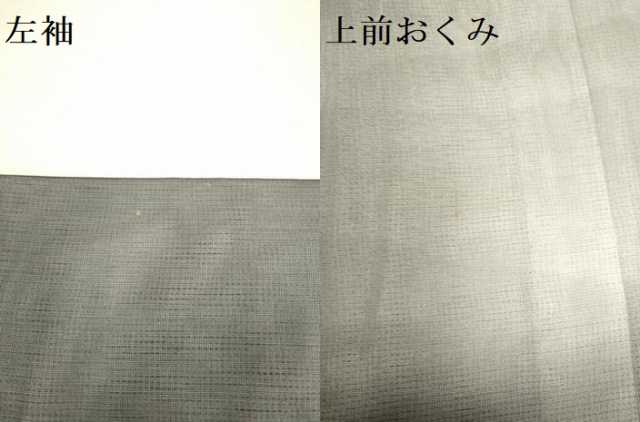 平和屋着物▽訪問着　無双　紗袷　紗×絽　霞文　暈し染め　さが美扱い　正絹　逸品　DABI4355du