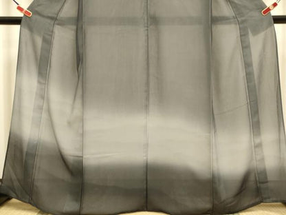 平和屋着物▽訪問着　無双　紗袷　紗×絽　霞文　暈し染め　さが美扱い　正絹　逸品　DABI4355du