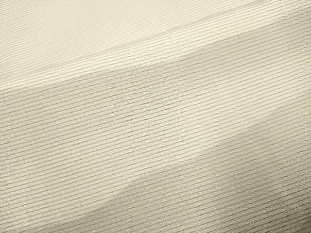 平和屋着物▽訪問着　無双　紗袷　紗×絽　霞文　暈し染め　さが美扱い　正絹　逸品　DABI4355du