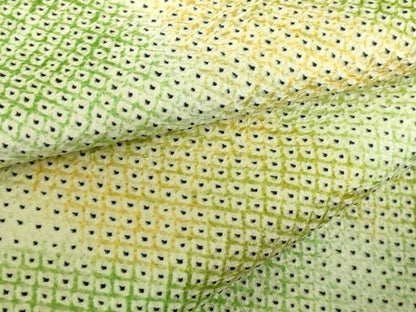 平和屋着物●上質な小紋　総絞り　霞文　暈し染め　ロング丈　正絹　逸品　DABI5180op