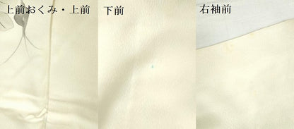 平和屋着物▼訪問着　手描き　草花　金彩　正絹　逸品　DABI5339op