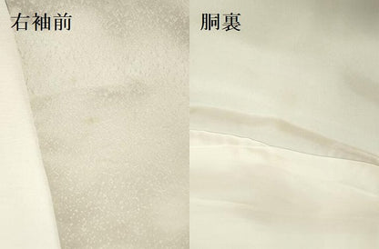 平和屋着物▼訪問着　作家物　手描き　南天蔦の葉文　金彩　正絹　逸品　DABI5527op