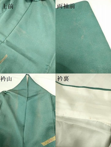平和屋着物▼訪問着　作家物　鬘帯花文　金彩　金通し地　正絹　逸品　DABI5553op