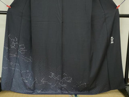平和屋着物●金彩友禅　卓越技能者・名工・和田光正監修　訪問着　スパンコール　星座　暈し染め　銀彩　正絹　逸品　DABI5620op