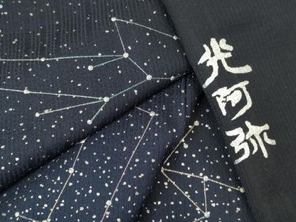 平和屋着物●金彩友禅　卓越技能者・名工・和田光正監修　訪問着　スパンコール　星座　暈し染め　銀彩　正絹　逸品　DABI5620op
