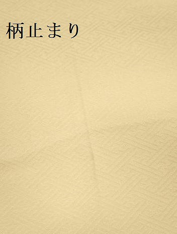 平和屋本店▼六通柄袋帯　唐織　瑞華宝飾文　本金二重箔　正絹　逸品　DABI5742op
