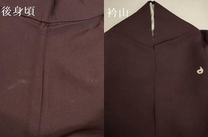 平和屋着物●訪問着　風景花文　金彩　正絹　逸品　DABI5866op