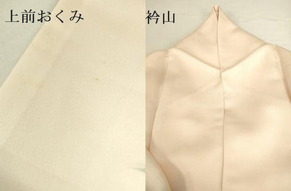 平和屋着物●訪問着　手描き　草花　暈し染め　ロング丈　正絹　逸品　DABI5965op