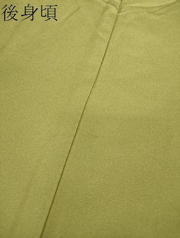 平和屋着物●訪問着　螺鈿　枝花文　暈し染め　金彩　正絹　逸品　未使用　DABI6626ps