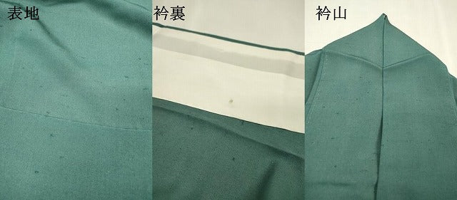 平和屋着物▽色留訪問着　単衣　花絵皿文　金彩　お召縮緬　正絹　逸品　DABI7282fe