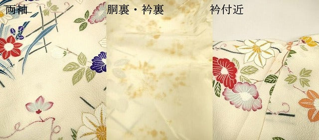 平和屋着物▼上質な小紋　枝花　金彩　鬼しぼ縮緬　正絹　逸品　DABI7357fe