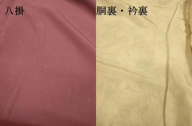 平和屋着物▼上質な小紋　舞蝶花鳥文　鬼しぼ縮緬　正絹　逸品　DABI7359fe