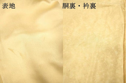 平和屋着物▼訪問着　刺繍　南天文　暈し染　金彩　正絹　逸品　DABI7385fe