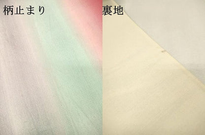 平和屋着物▼六通柄　京袋帯　飛鳥　金銀糸　正絹　逸品　DABI7970fe