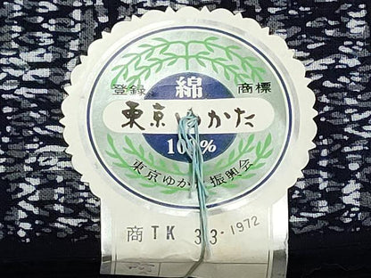 平和屋着物＊夏物　浴衣　反物　着尺　注染　抽象文様　綿　逸品　未使用　DABI8097we