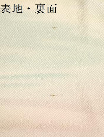 平和屋着物▼柄見本　長襦袢　反物　京誂友禅　美のさかえ　暈し染め　リメイク生地　材料　逸品　未使用　DABI8142we
