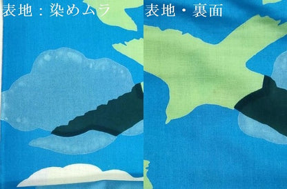 平和屋着物＊夏物　浴衣　反物　着尺　注染　飛鳥文　綿　逸品　未使用　DABI8296we