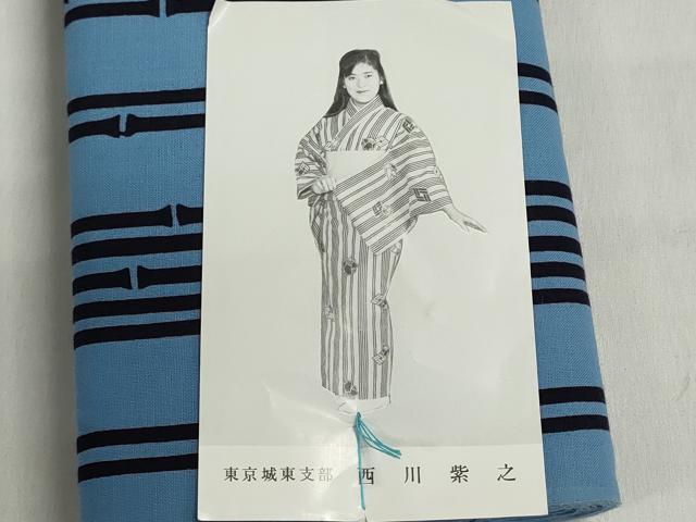 平和屋着物＊夏物　浴衣　反物　着尺　注染　竹節間道　舞蝶文　綿　逸品　未使用　DABI8400we