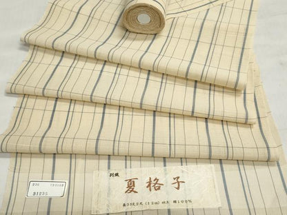 平和屋着物＊夏物　紗紬　反物　着尺　格子　逸品　未使用　DABI8426we