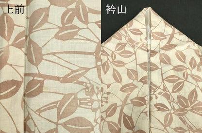 平和屋着物＊夏物　小紋　生紬　紗　型染め　枝葉文　正絹　逸品　DABI8656cd