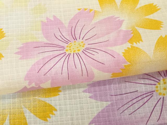 平和屋着物∴夏物　綿紅梅　浴衣　秋桜　コスモス　綿　逸品　DABI8665cd