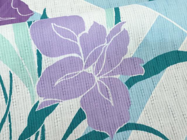 平和屋着物∴夏物　浴衣　草花文　杜若　カキツバタ　綿　逸品　DABI8668cd