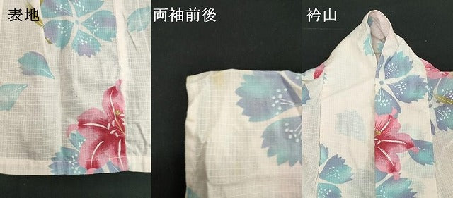 平和屋着物∴夏物　綿紅梅　浴衣　草花文　撫子　百合　逸品　DABI8699cd