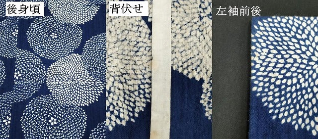 平和屋着物∴夏物　浴衣　舞花文　菊　綿　逸品　DABI8704cd