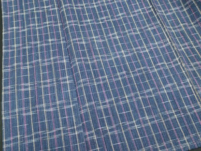平和屋着物∴夏物　阿波しじら織　浴衣　間道　綿　逸品　DABI8729cd