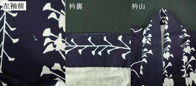 平和屋着物∴夏物　浴衣　注染　藤花房　逸品　DABI8824cd