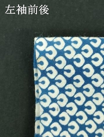平和屋着物∴夏物　浴衣　注染　流水草花文　蘭　綿　逸品　DABI8825cd