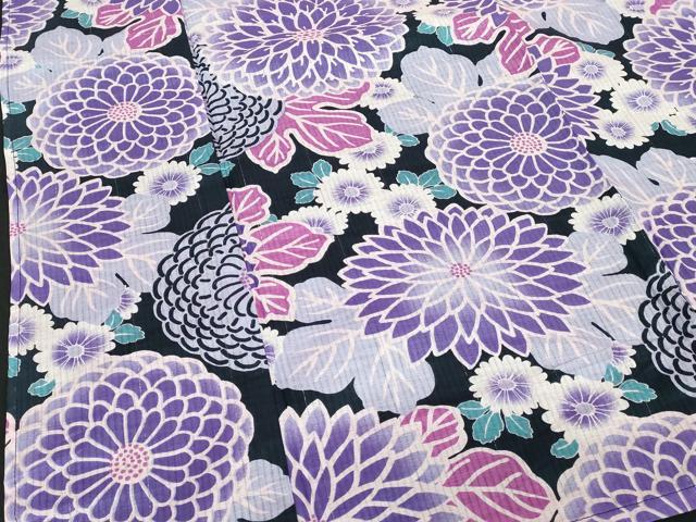 平和屋着物∴夏物　浴衣　菊尽くし　綿　逸品　DABI8832cd