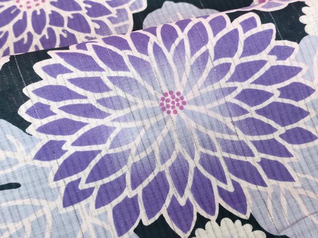 平和屋着物∴夏物　浴衣　菊尽くし　綿　逸品　DABI8832cd