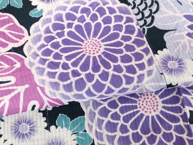 平和屋着物∴夏物　浴衣　菊尽くし　綿　逸品　DABI8832cd