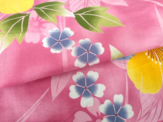 平和屋着物∴夏物　浴衣　草花文　綿　逸品　DABI8833cd