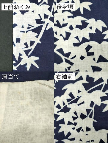 平和屋着物∴夏物　訪問着・浴衣兼用　絵羽浴衣　笹文　綿　逸品　DABI8874cd