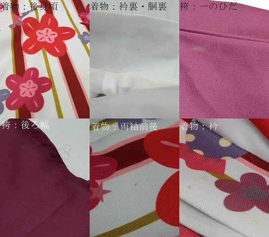平和屋着物●小紋　行灯袴セット　舞花文　飴　洗える着物　DABI9035ud