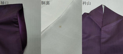 平和屋着物●本場大島紬　訪問着　舞蝶文　正絹　逸品　DABI9050ud