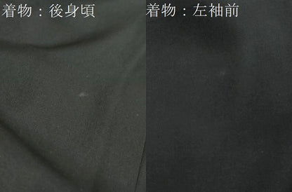 平和屋着物●男性 黒紋付 羽織・長襦袢（袷）セット 羽裏：松文 阪急百貨店扱い 正絹 逸品 DABI9123ud