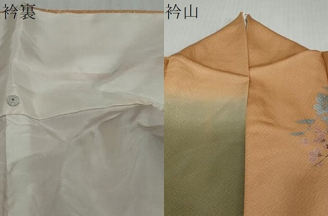 平和屋着物●訪問着　風景花鳥文　暈し染め　金彩　正絹　逸品　DABI9167ud