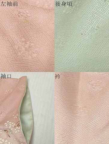 平和屋着物●訪問着　扇面草花文　暈し染め　金彩　松坂屋扱い　正絹　逸品　DABI9199ud