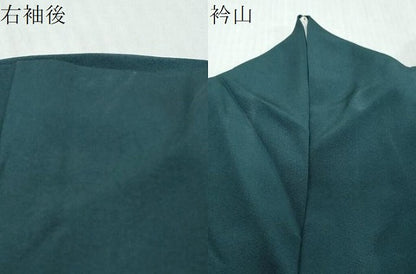 平和屋着物●訪問着　枝花文　暈し染め　金彩　正絹　逸品　DABI9205ud