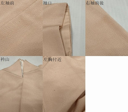 平和屋着物●豪華色留袖　花鳥文　鬼しぼ縮緬　正絹　逸品　DABI9233ud