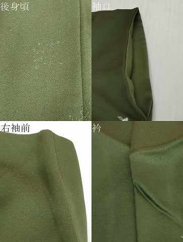 平和屋着物●訪問着　草花文　暈し染め　金彩　正絹　逸品　DABI9241ud