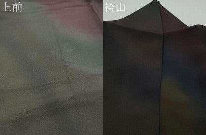 平和屋着物●前田仁仙　仁仙更紗　小紋　霞文　暈し染め　正絹　逸品　DABI9258ud