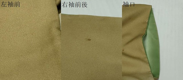 平和屋着物●訪問着　花蝶籬文　暈し染め　金彩　正絹　逸品　DABI9278ud